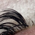 What is a lash tech considered?